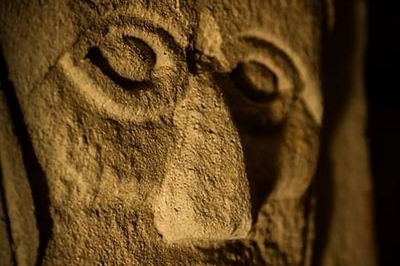 Lieux événementiels, VICTORY ESCAPE GAME