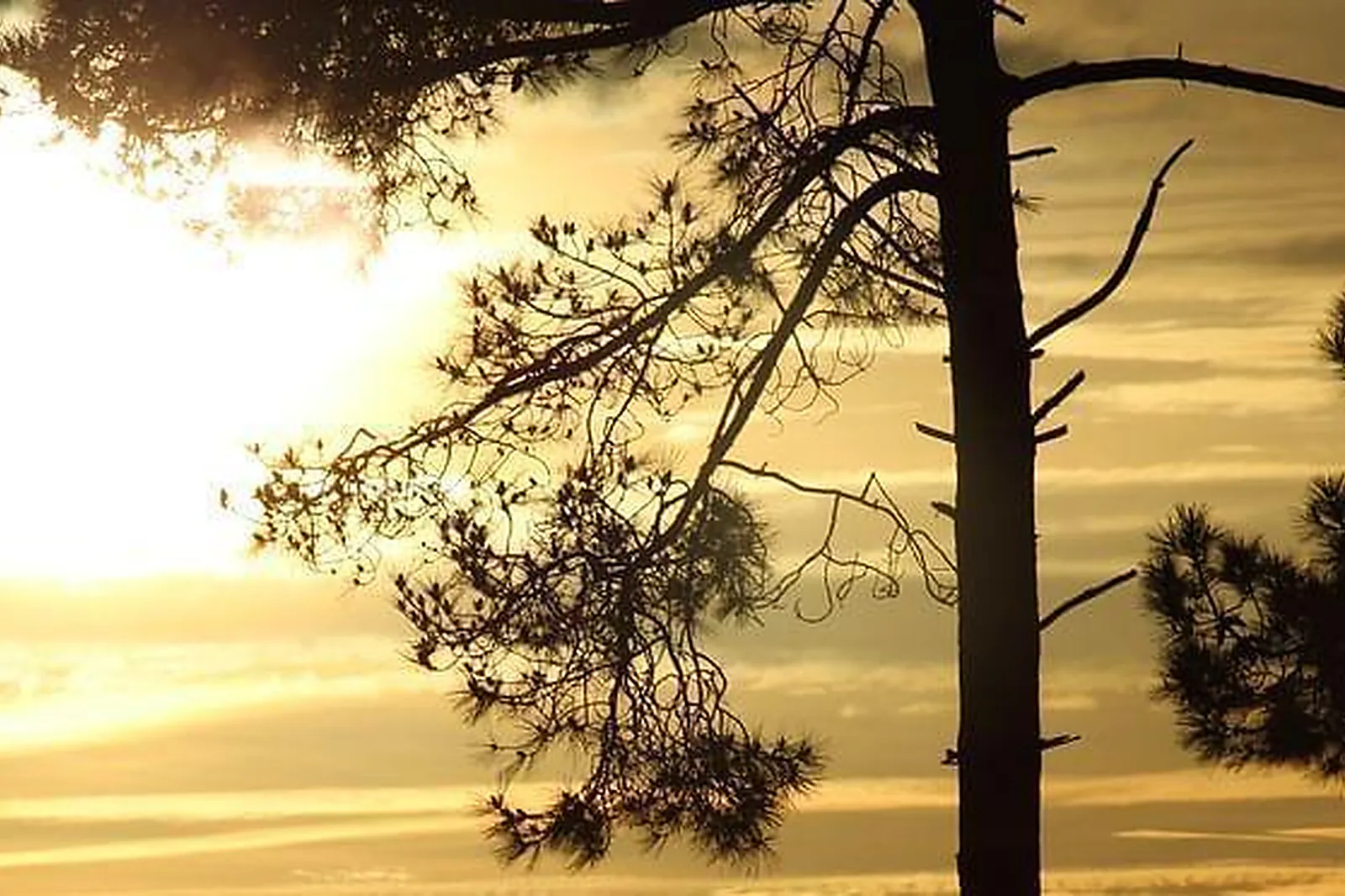 Lieux événementiels, VILLA COURREAU