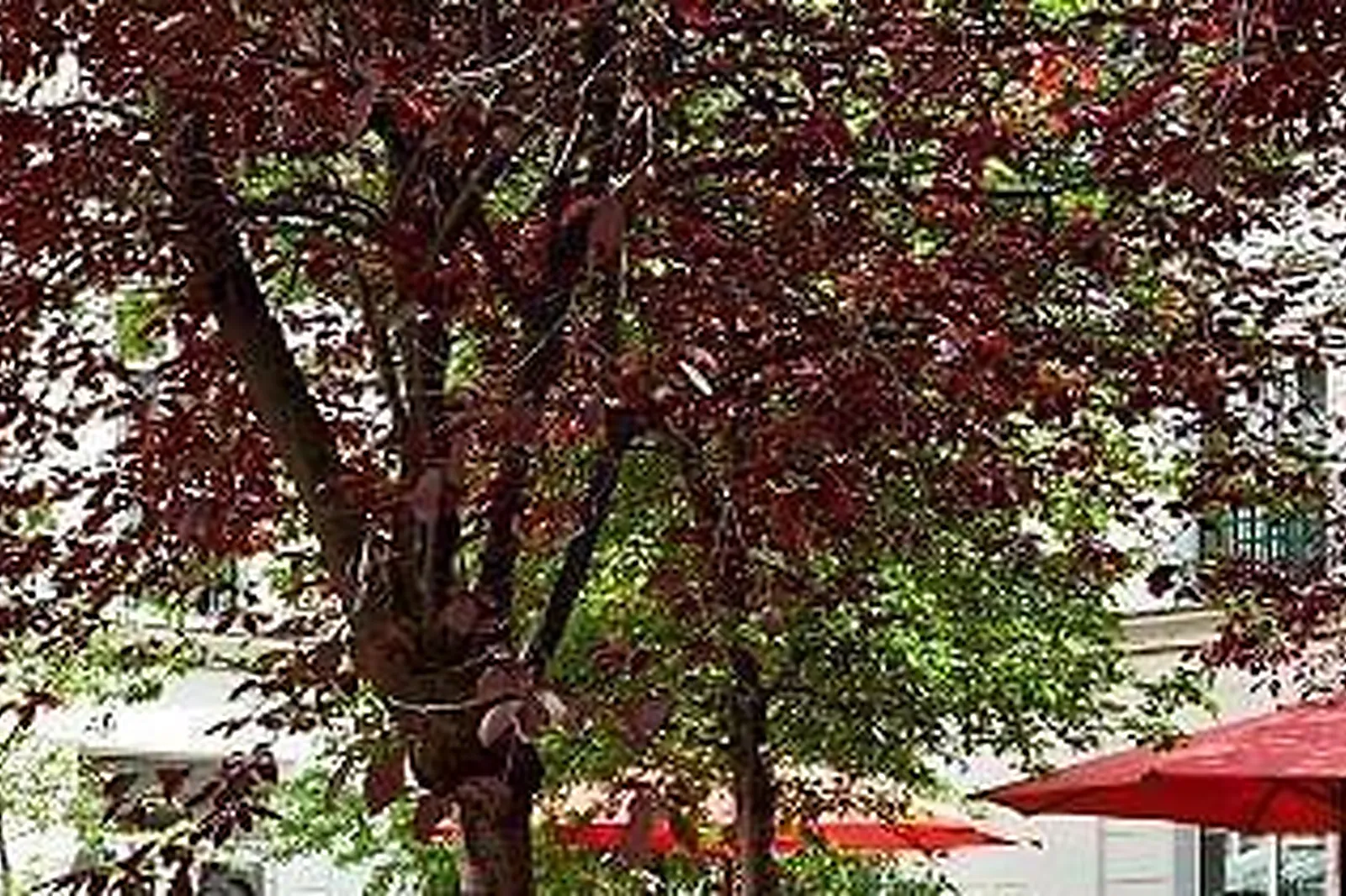 Lieux événementiels, HÔTEL CASTILLE PARIS