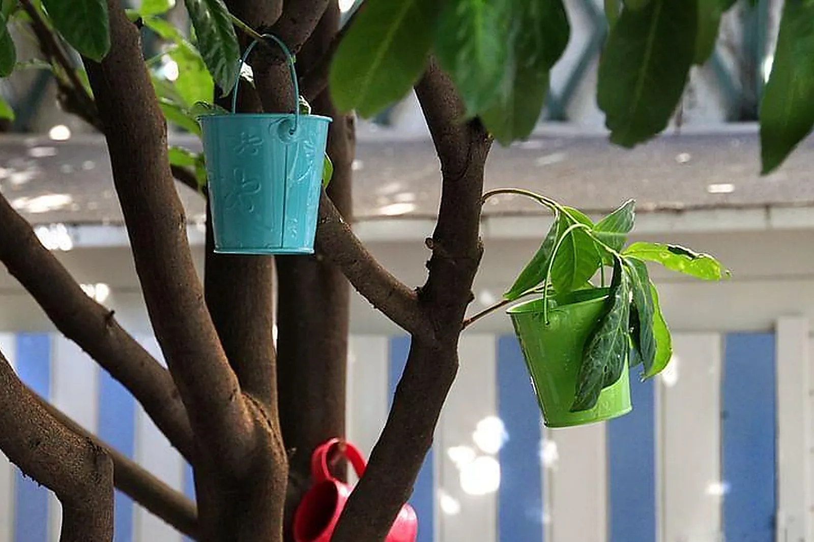 Lieux événementiels, VILLA SOREL ***