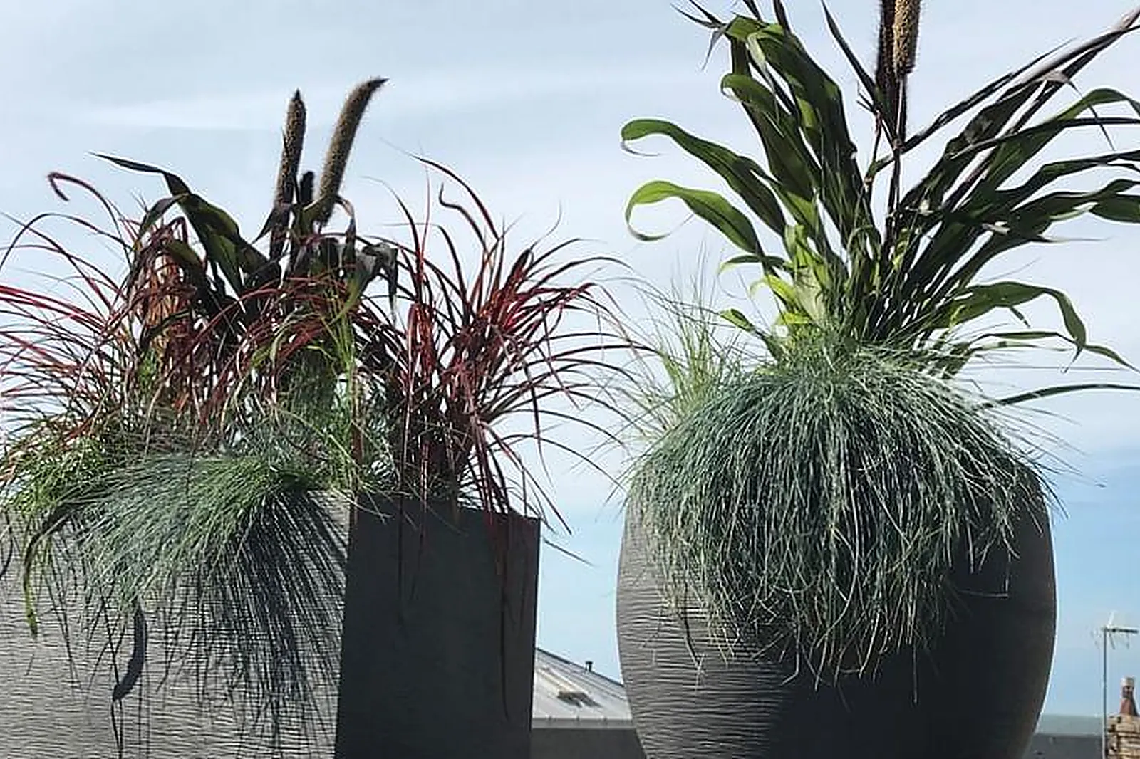 Lieux événementiels, HOWARD HOUSE