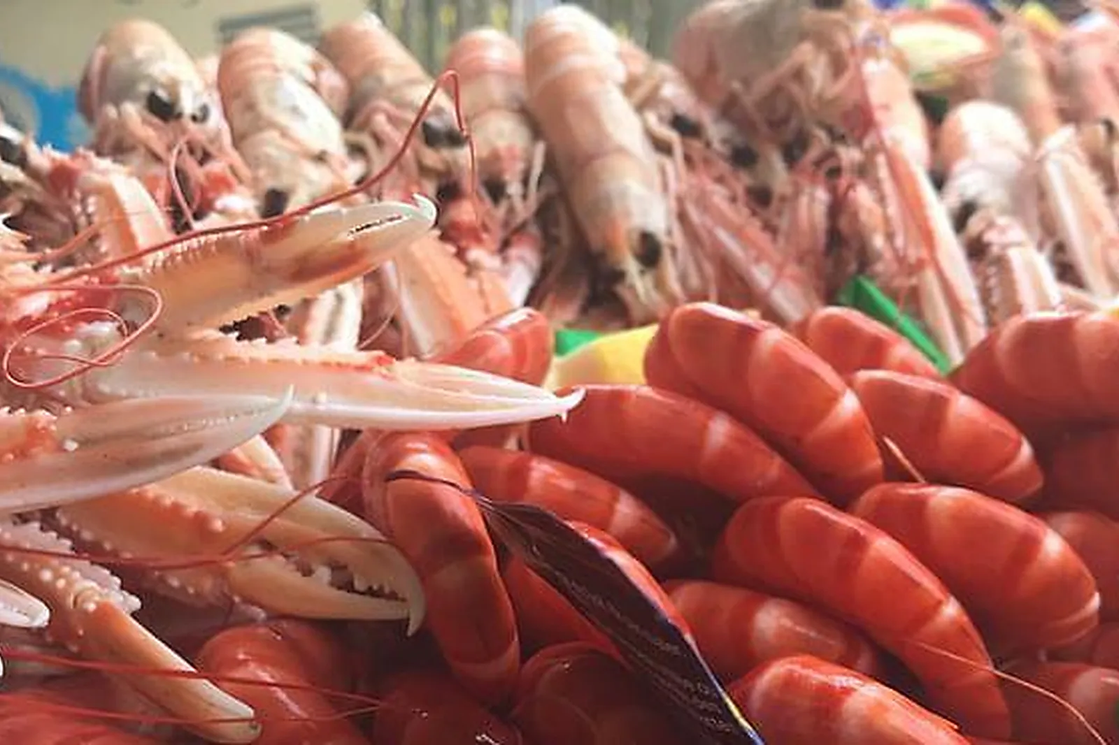 Lieux événementiels, VILLAGE LES RIVES DE GRAND LIEU