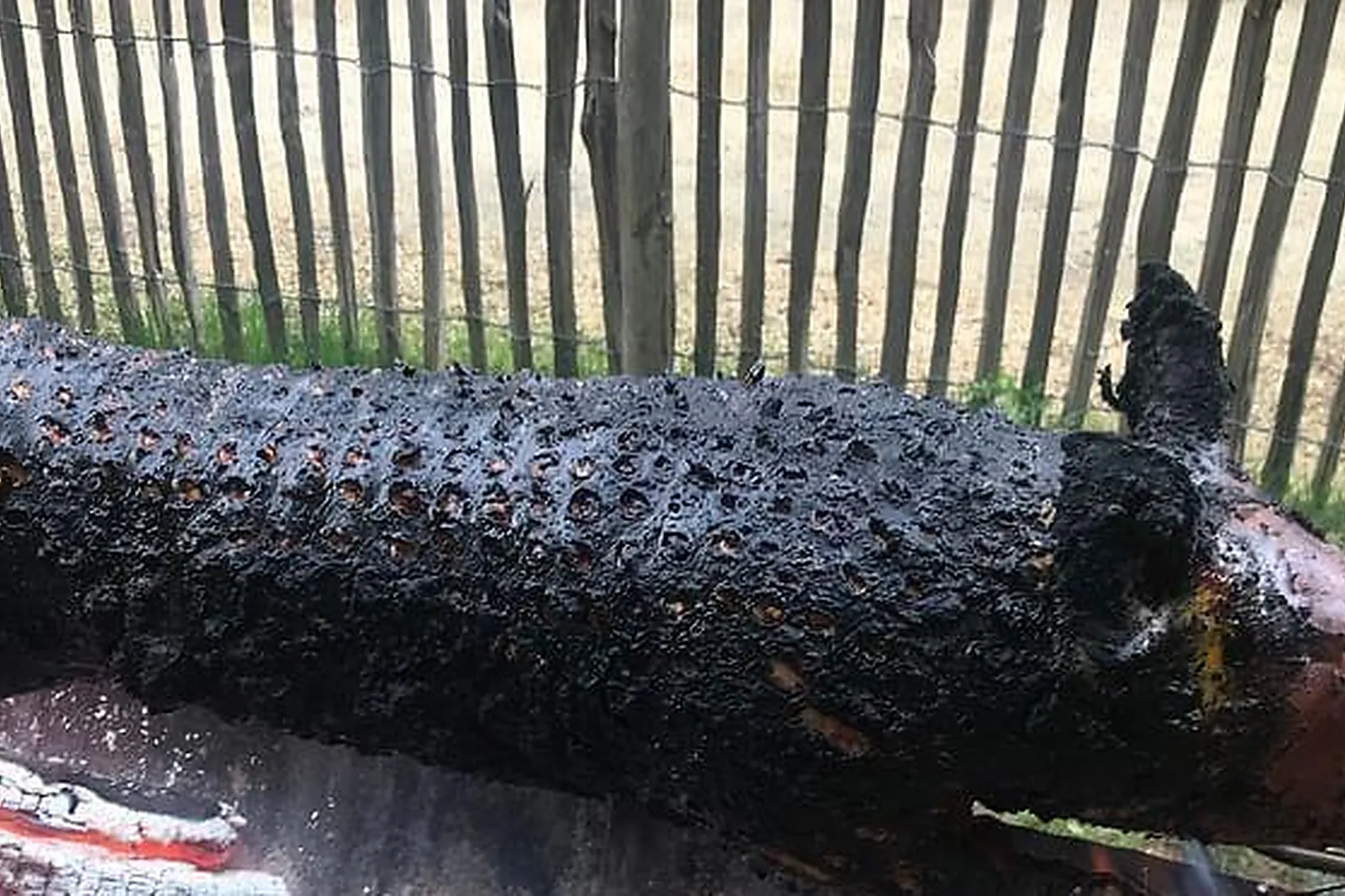 Lieux événementiels, VILLAGE LES RIVES DE GRAND LIEU