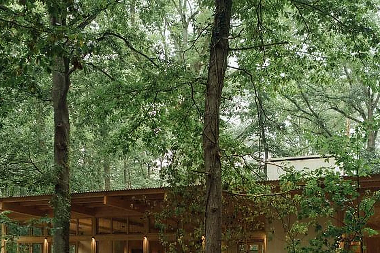 Lieux événementiels, BUREAU DE DIRECTION