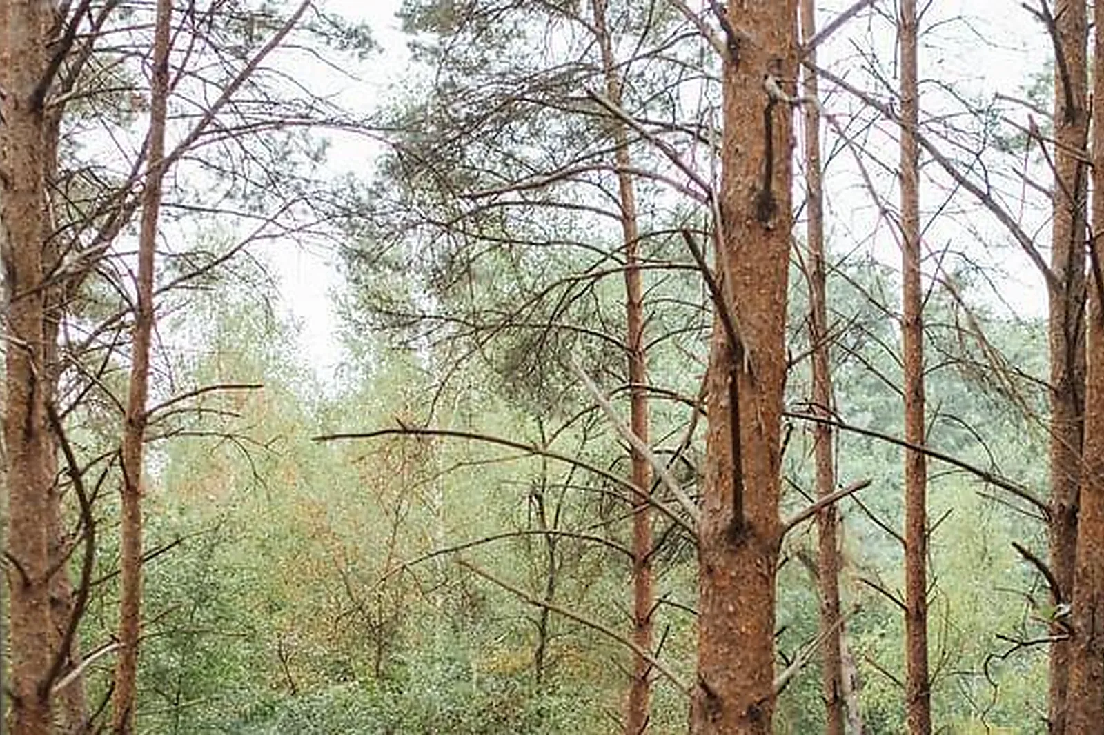 Lieux événementiels, BUREAU DE DIRECTION