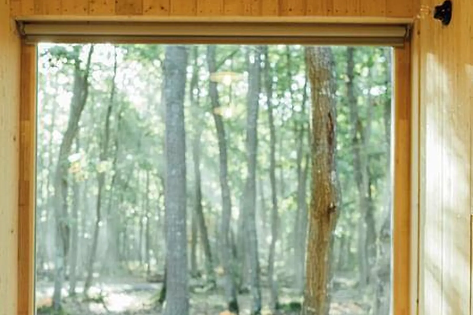 Lieux événementiels, BUREAU DE DIRECTION