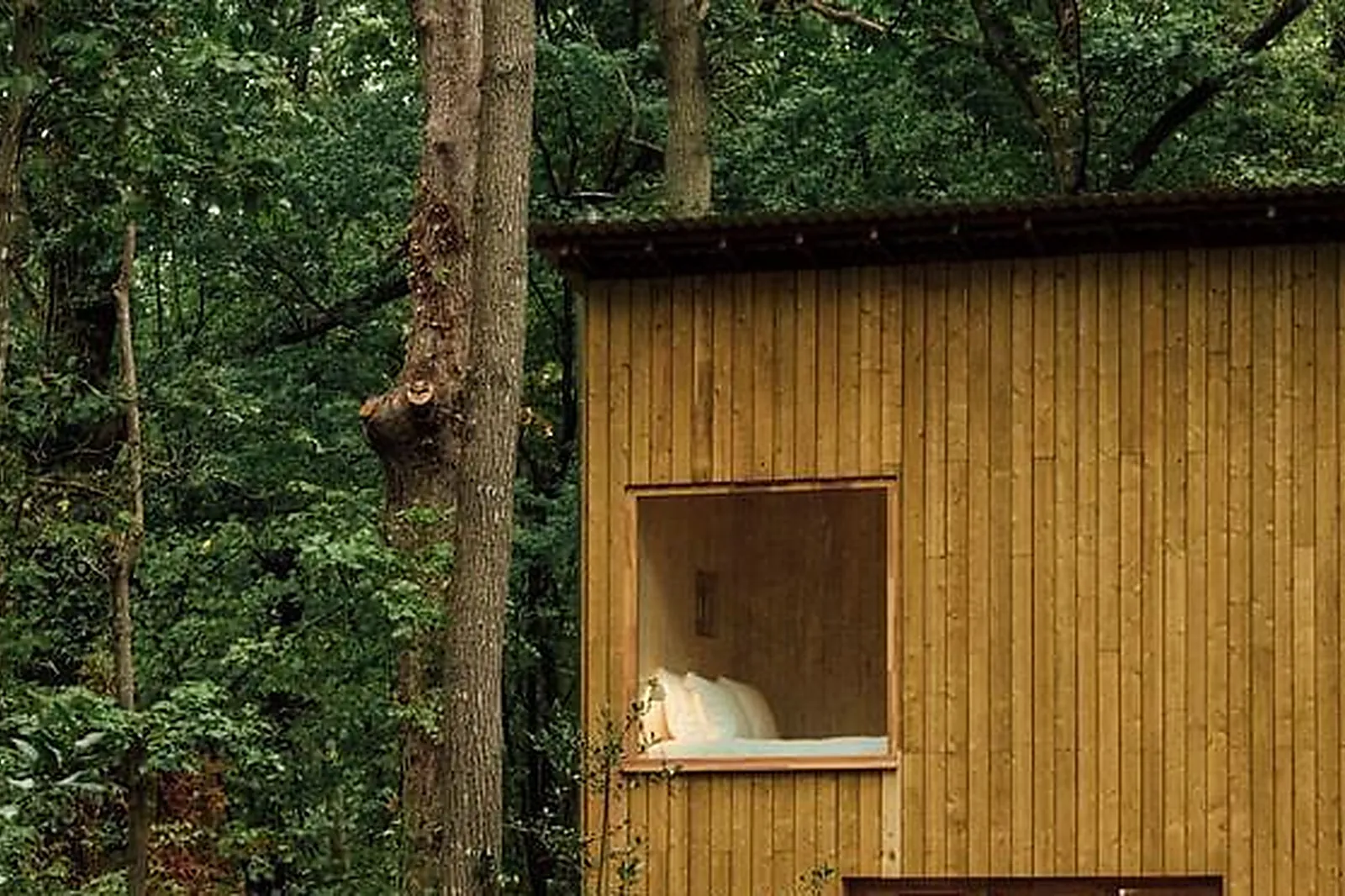 Lieux événementiels, BUREAU DE DIRECTION