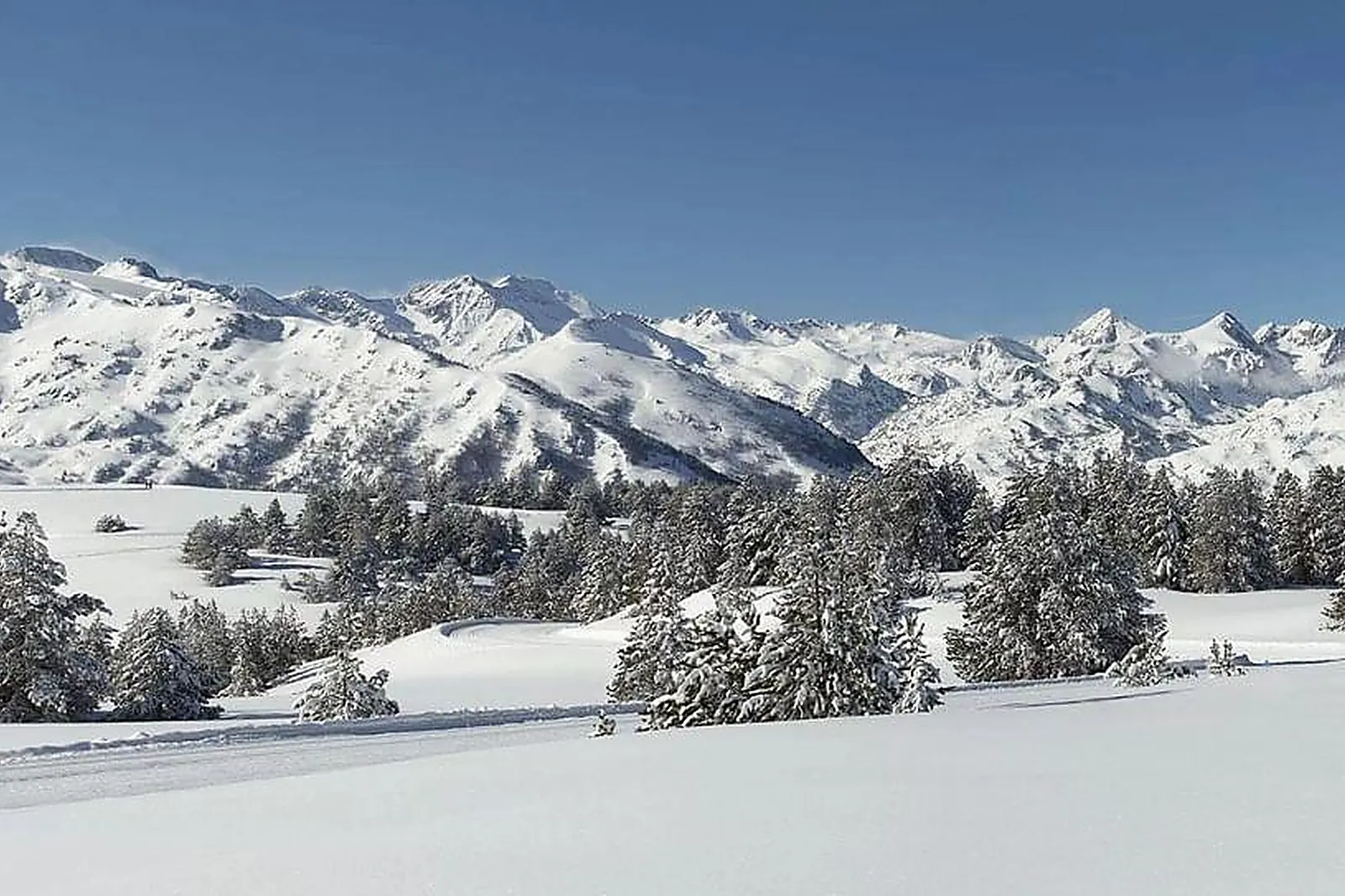 Lieux événementiels, FAKE