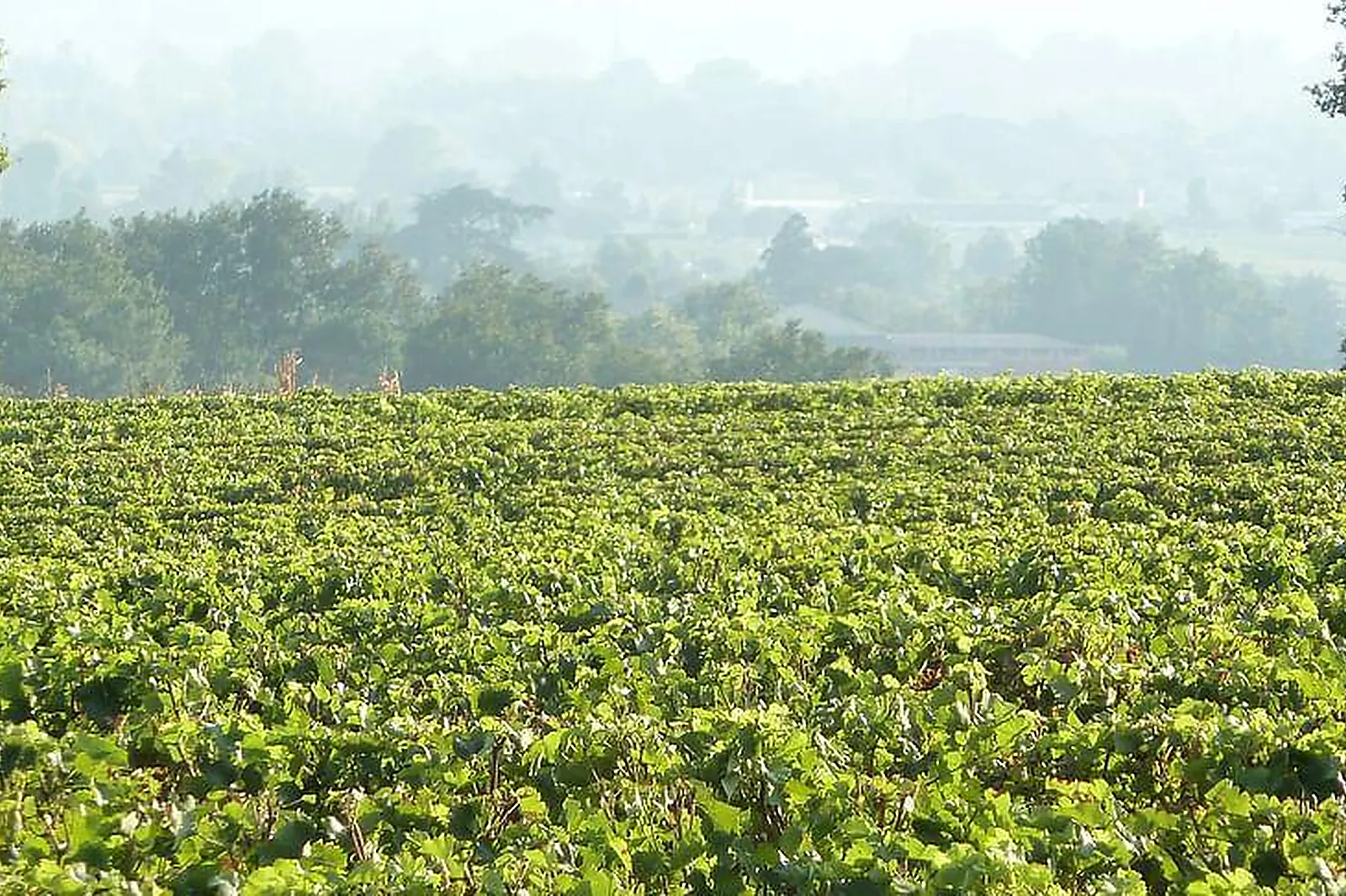 Lieux événementiels, LA PIGNARDERIE
