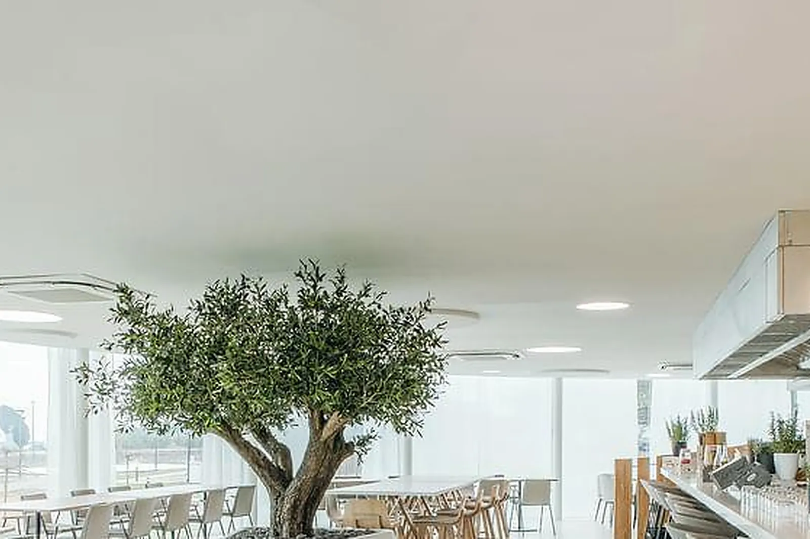 Lieux événementiels, CAVE CQFD