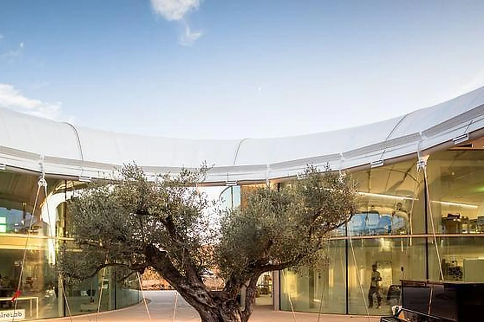 Lieux événementiels, CAVE CQFD