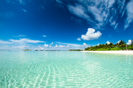 Séminaire à la mer