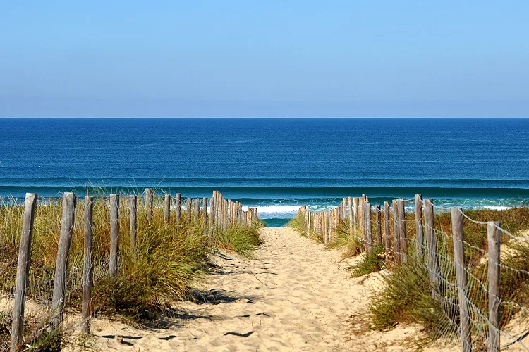 Séminaire au Bassin d'Arcachon